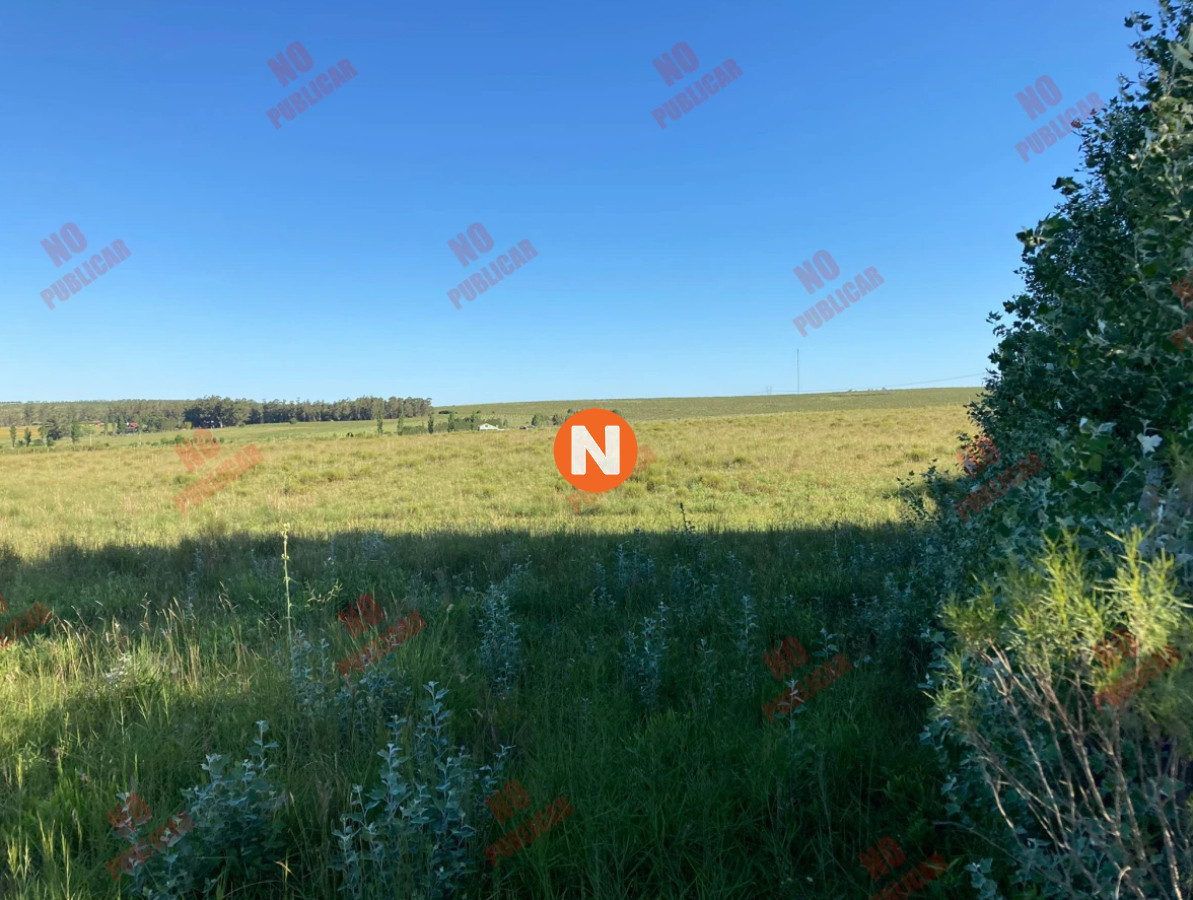 Chacra Ref.223843 - Chacra en Pueblo Edén 5 has