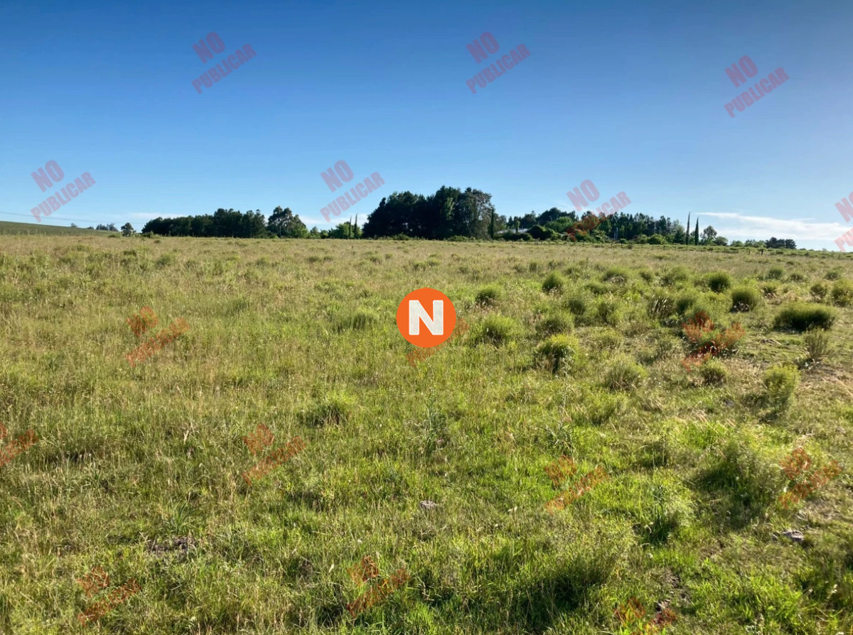 Chacra Ref.223843 - Chacra en Pueblo Edén 5 has