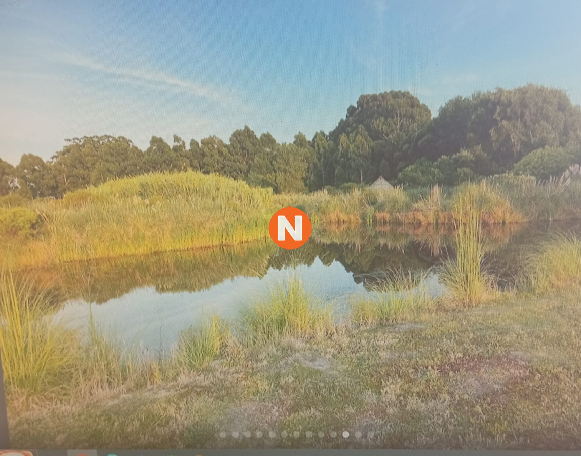 Chacra Ref.223556 - Chacra La Gurisa ,Manantiales 