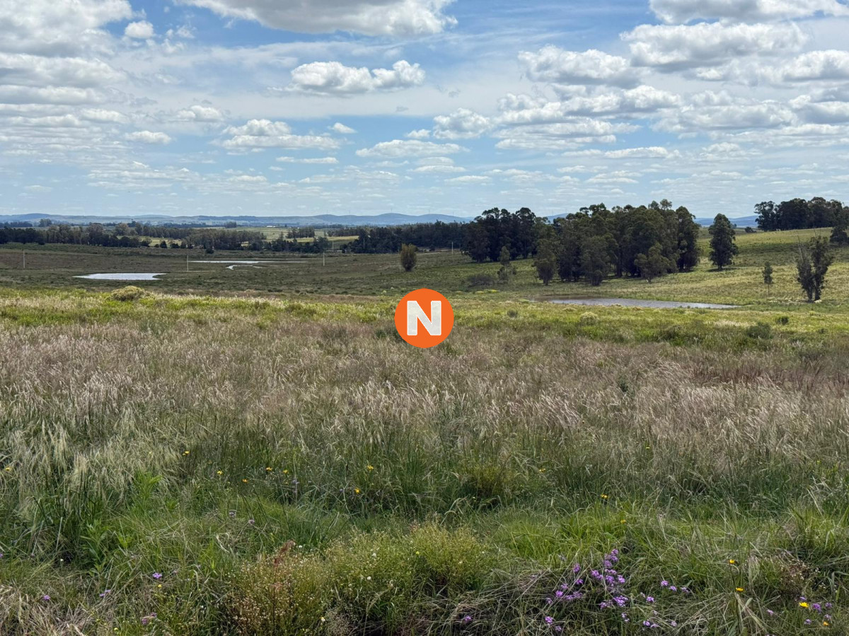 Chacra Ref.224305 - Charcas Los Cardos, Solo quedan 11 disponibles 