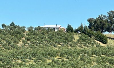 CHACRA 5 HECTAREAS SANTA LUCIA LAVALLEJA