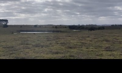 VENTA CHACRA 80 HECTAREAS