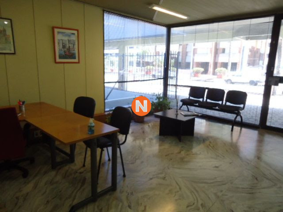 Chacra Ref.216299 - Espectacular local en zona puerto