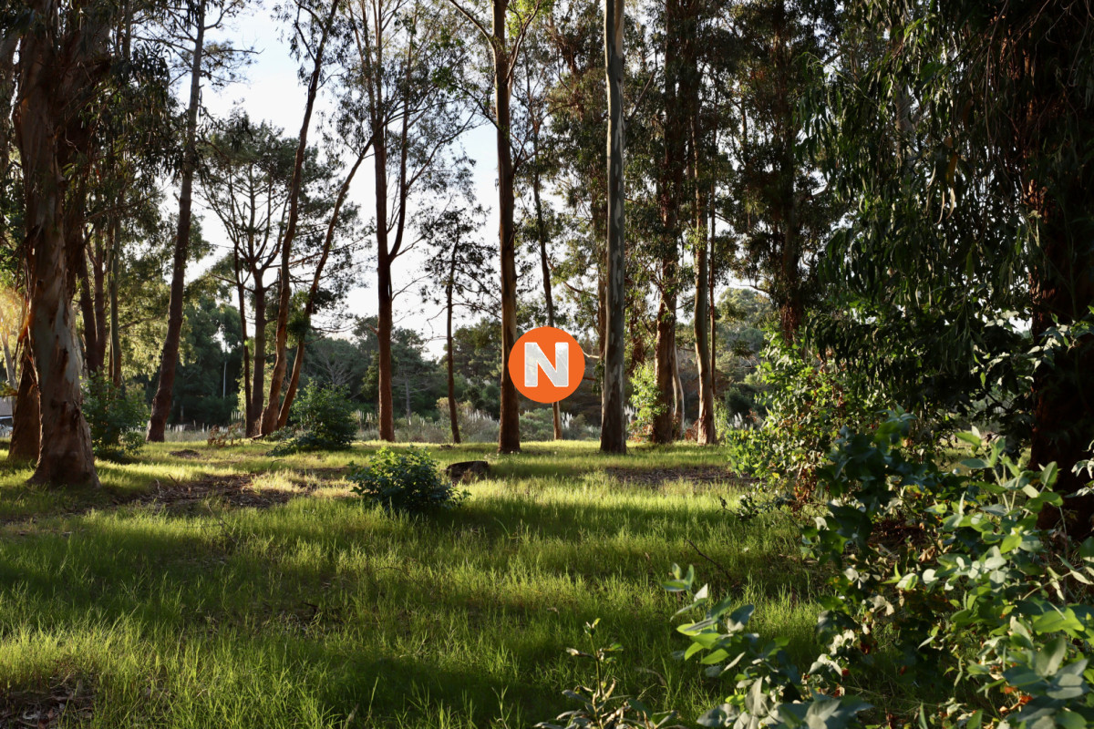 Terreno de Reserva de Montoya  - NLV224485T