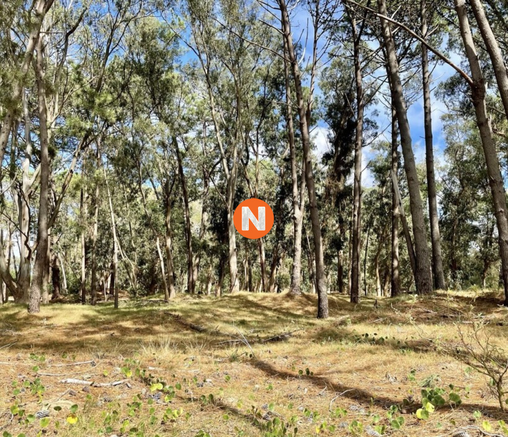 Terreno en venta en reserva montoya - NLV223814T