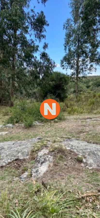 Terreno Ref.225491 - VENTA DE CAMPO, MALDONADO