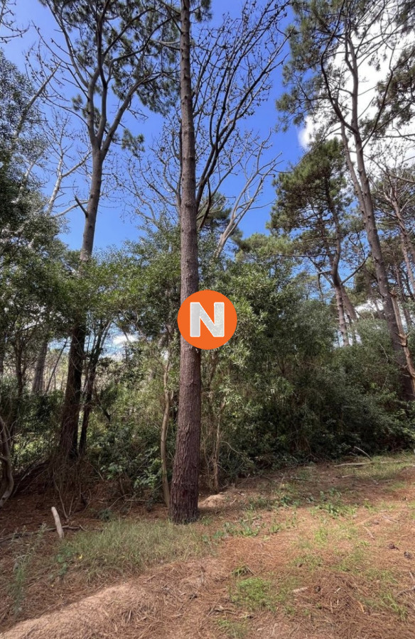 Terreno Ref.223813 - Terreno en venta en Reserva Montoya con posibilidad de financiación!