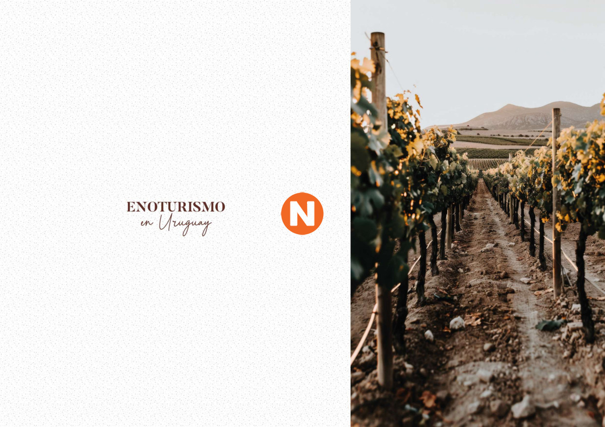 Terreno Ref.223921 - Chacra Viña del Faro