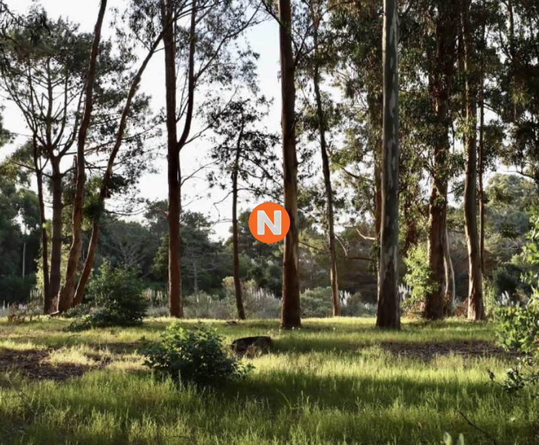 Terreno Ref.223813 - Terreno en venta en Reserva Montoya con posibilidad de financiación!