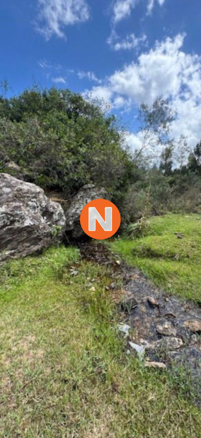 Terreno Ref.225491 - VENTA DE CAMPO, MALDONADO