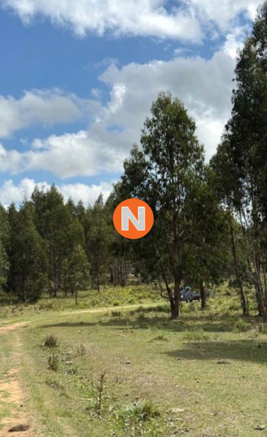Terreno Ref.225491 - VENTA DE CAMPO, MALDONADO