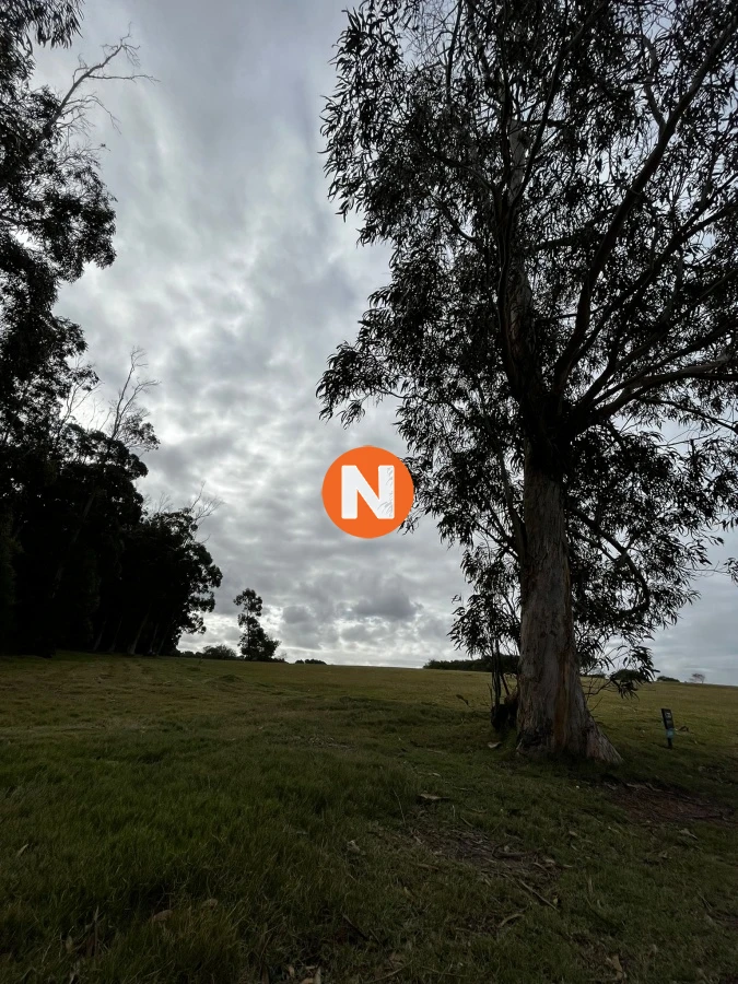 Terreno Ref.217026 - VENTA DE LOTE EN LAS GARZAS PUNTA DEL ESTE 