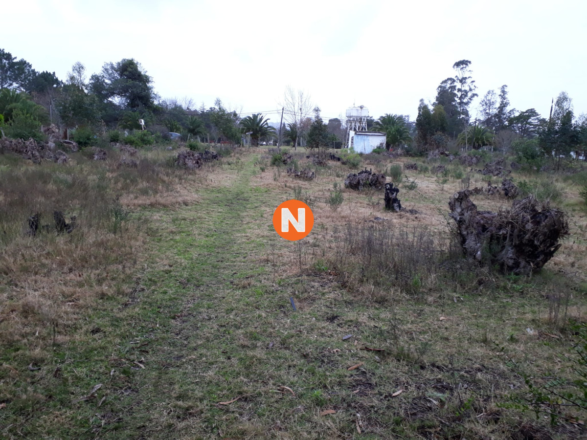 Terreno Ref.223873 - terreno Pueblo Eden venta