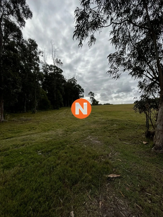 Terreno Ref.217026 - VENTA DE LOTE EN LAS GARZAS PUNTA DEL ESTE 