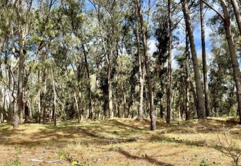 Terreno en venta en reserva montoya