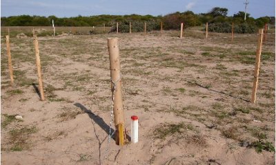 Terreno en Jose Ignacio, La Juanita