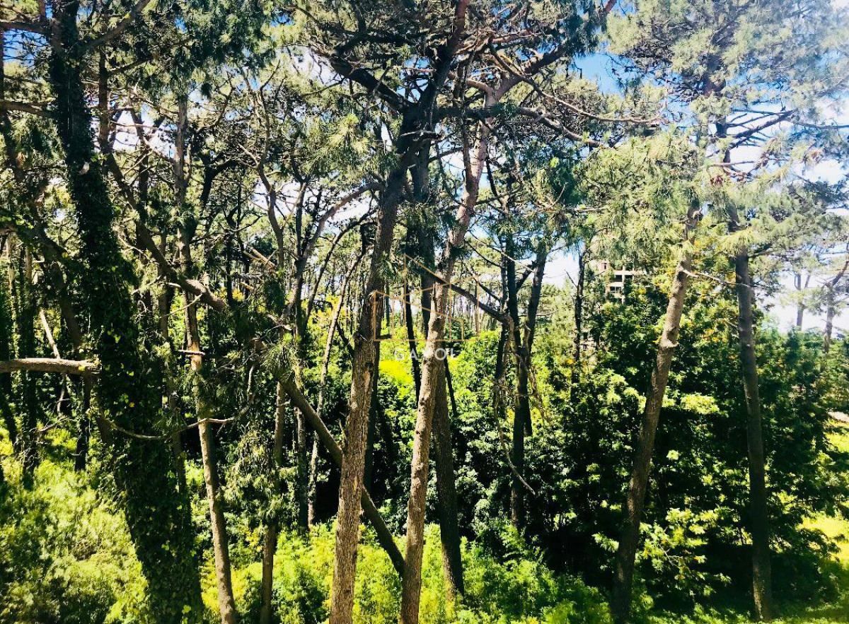 Apartamento ID.426 - Alquiler de verano, apartamento de dos dormitorios en Avda Roosevelt