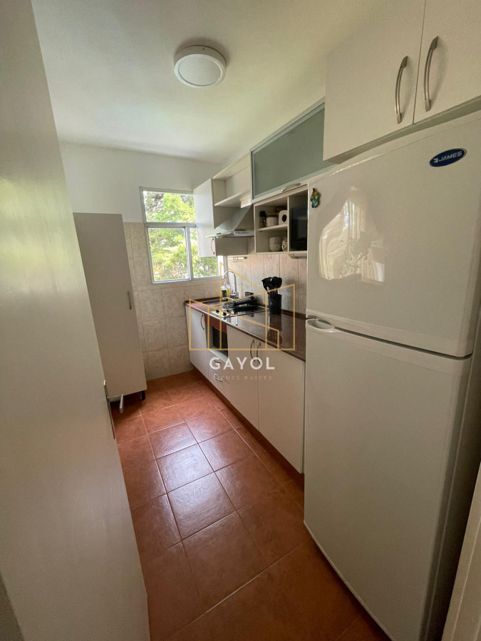 Apartamento ID.202 - Alquiler anual apartamento 1 dormitorio en Avda Roosevelt