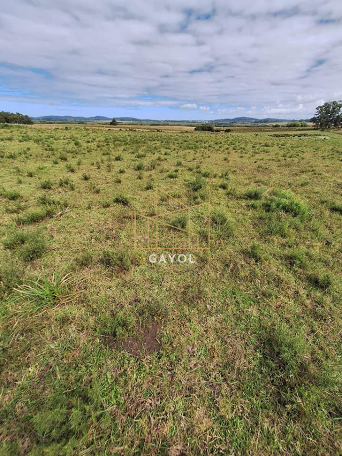 Chacra ID.456 - Chacra de 8 ha en camino Los Ceibos