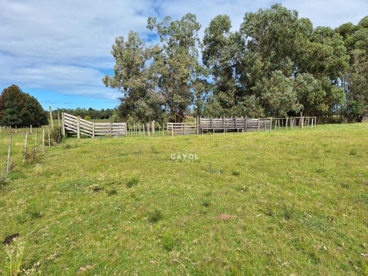 Chacra ID.456 - Chacra de 8 ha en camino Los Ceibos