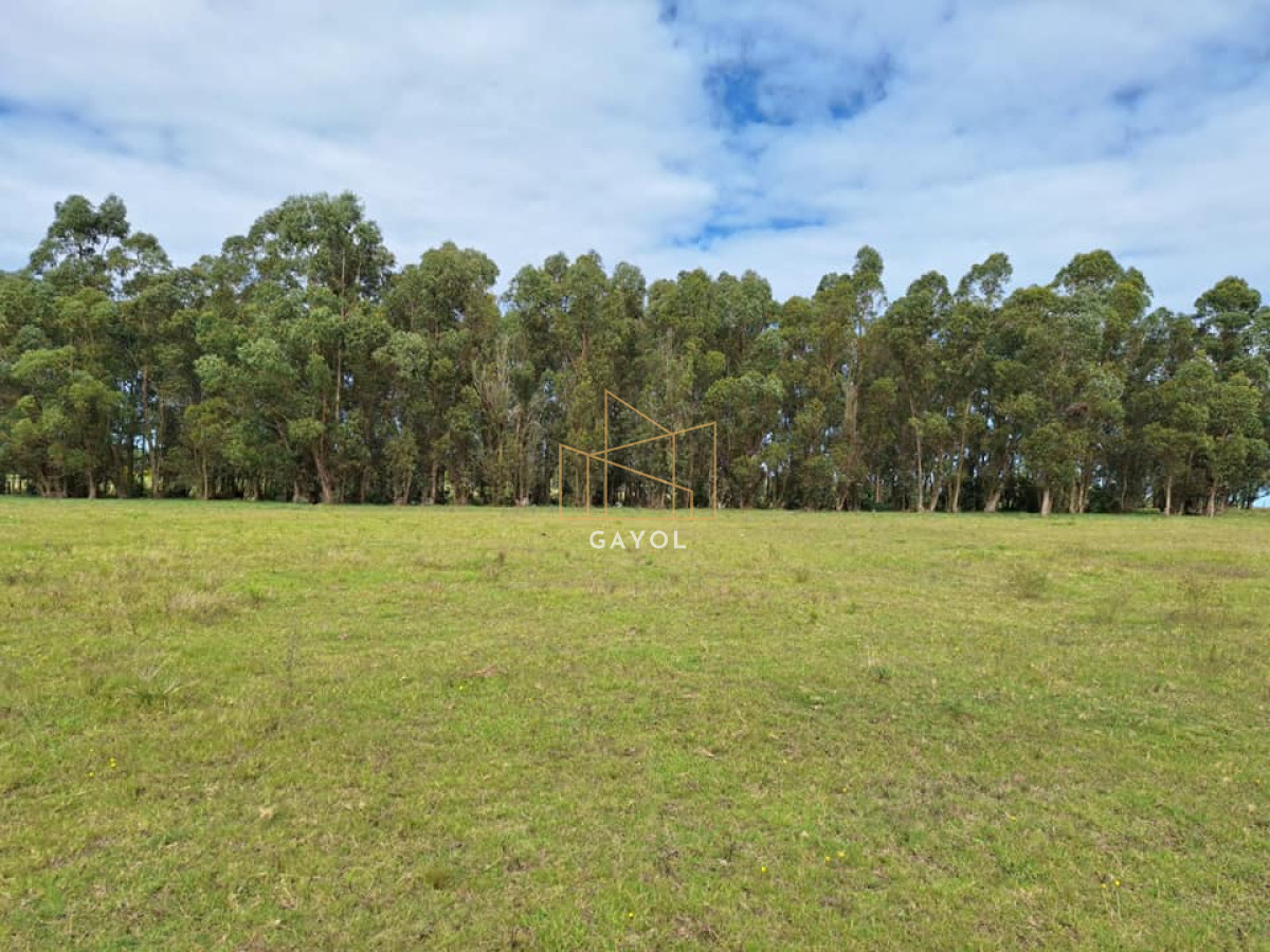 Chacra ID.456 - Chacra de 8 ha en camino Los Ceibos