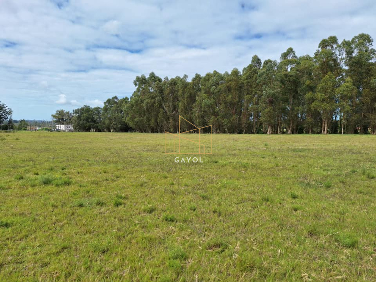 Chacra ID.456 - Chacra de 8 ha en camino Los Ceibos
