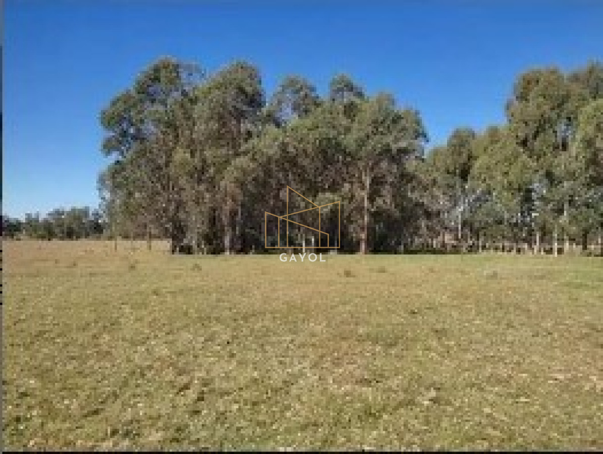 Chacra ID.456 - Chacra de 8 ha en camino Los Ceibos
