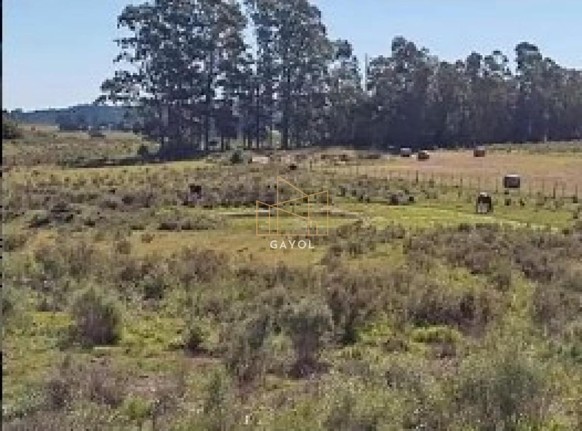 Chacra ID.456 - Chacra de 8 ha en camino Los Ceibos