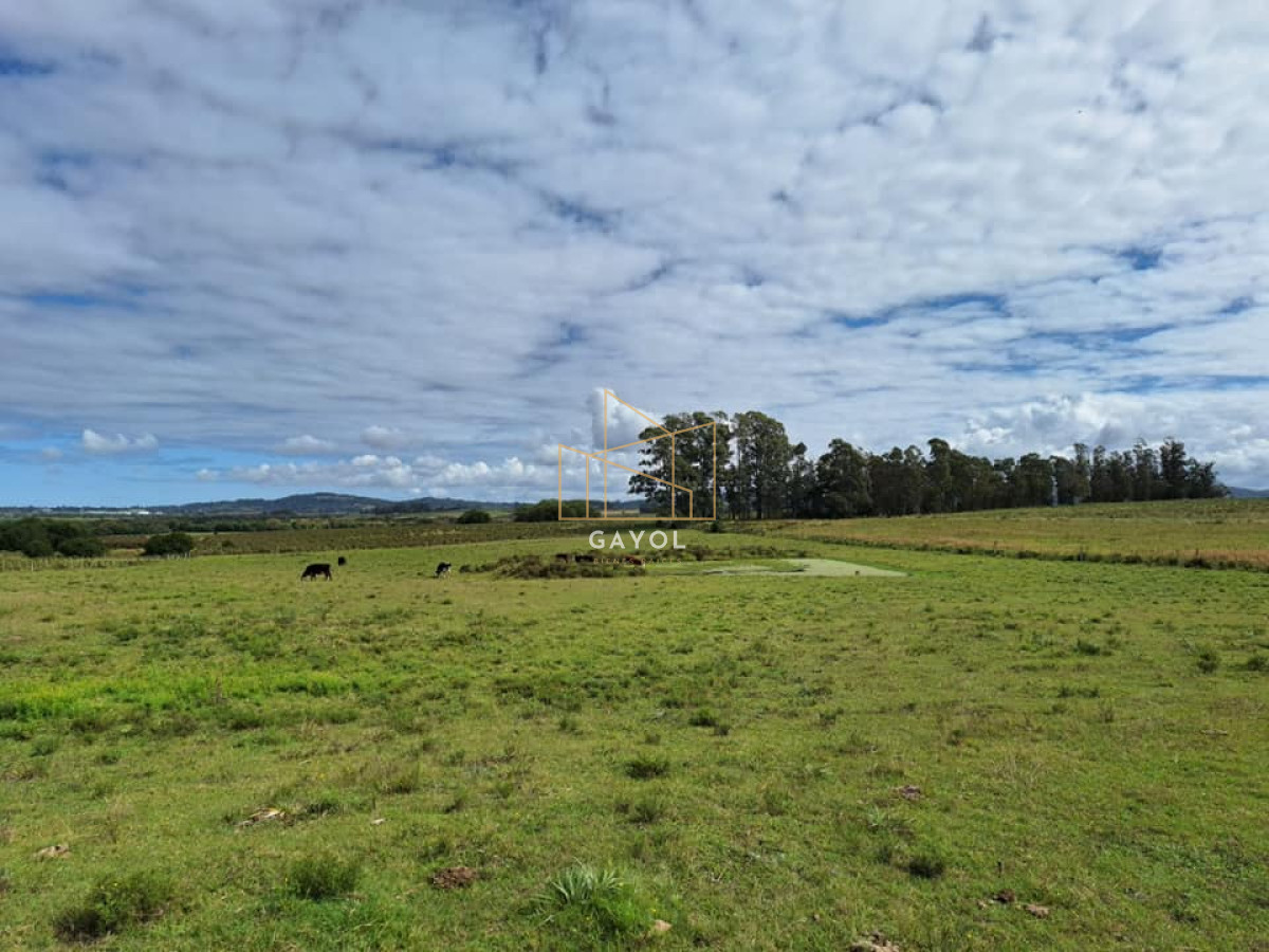 Chacra ID.456 - Chacra de 8 ha en camino Los Ceibos