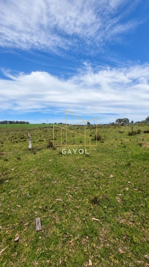 Campo Ref.1559 - Campo ganadero 30 ha en Ruta 9