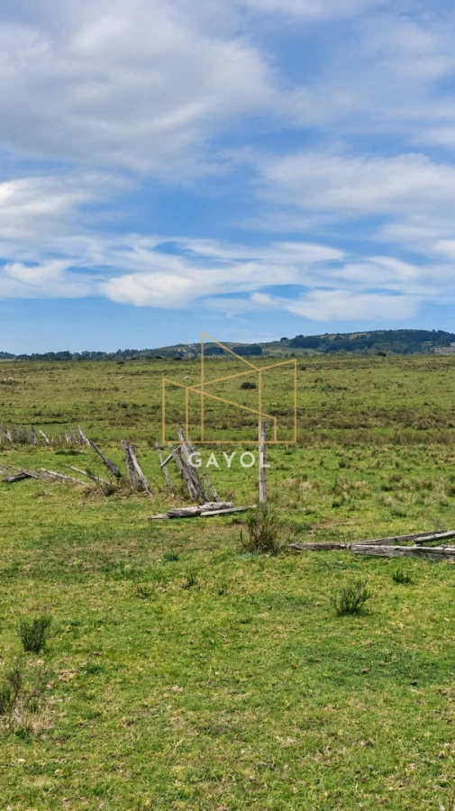 Campo Ref.1559 - Campo ganadero 30 ha en Ruta 9