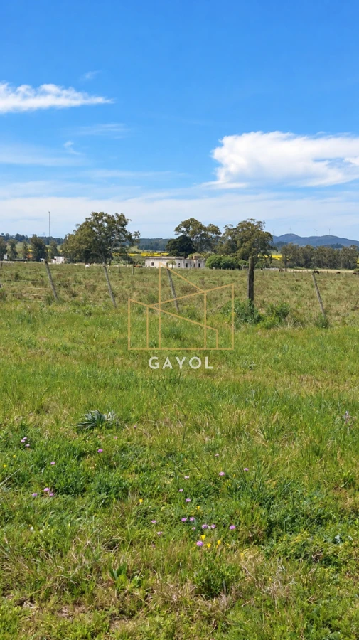 Campo Ref.1559 - Campo ganadero 30 ha en Ruta 9