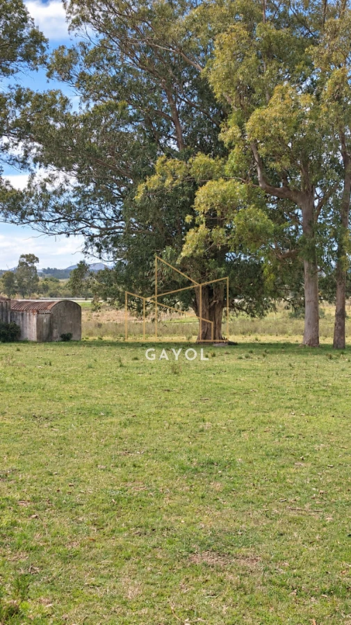 Campo Ref.1559 - Campo ganadero 30 ha en Ruta 9