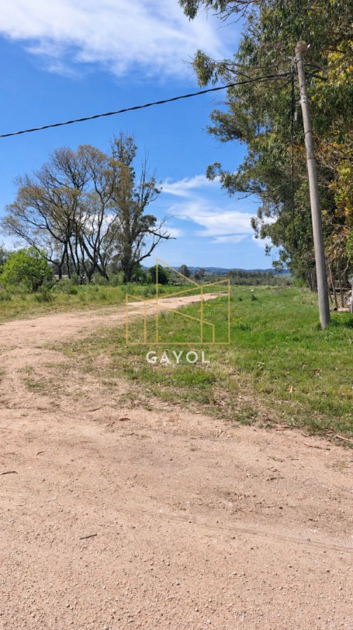 Campo Ref.1559 - Campo ganadero 30 ha en Ruta 9