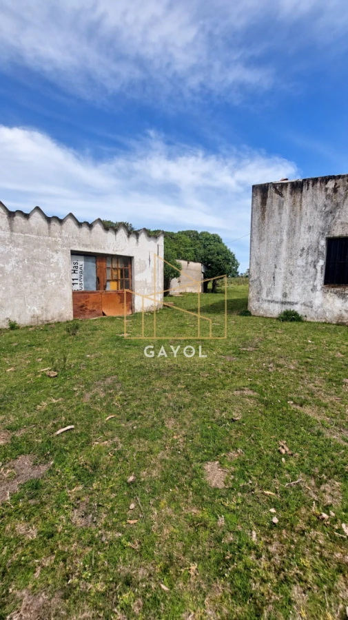 Campo Ref.1559 - Campo ganadero 30 ha en Ruta 9