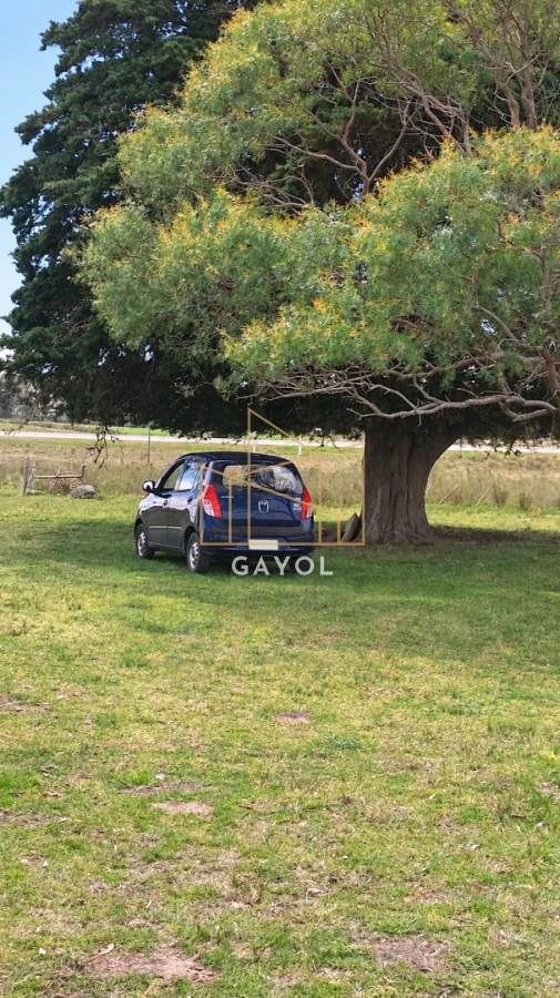 Campo Ref.1559 - Campo ganadero 30 ha en Ruta 9