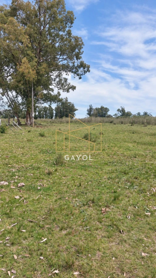 Campo Ref.1559 - Campo ganadero 30 ha en Ruta 9