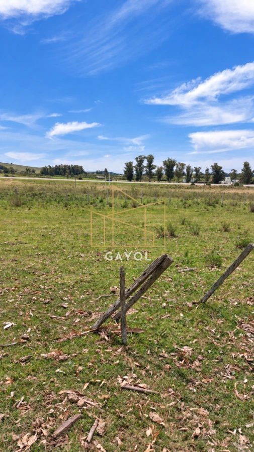 Campo Ref.1559 - Campo ganadero 30 ha en Ruta 9