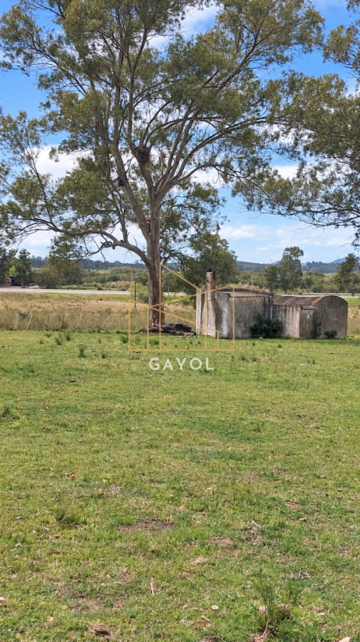 Campo Ref.1559 - Campo ganadero 30 ha en Ruta 9