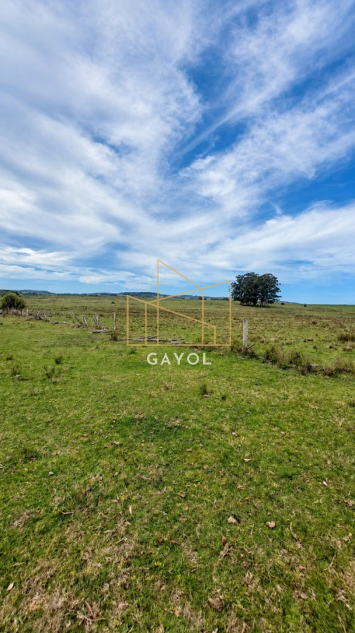 Campo Ref.1559 - Campo ganadero 30 ha en Ruta 9