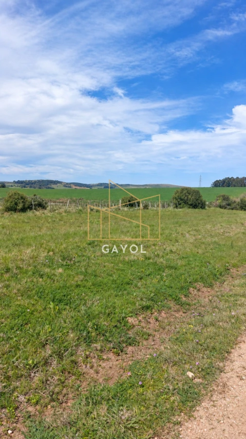 Campo Ref.1559 - Campo ganadero 30 ha en Ruta 9