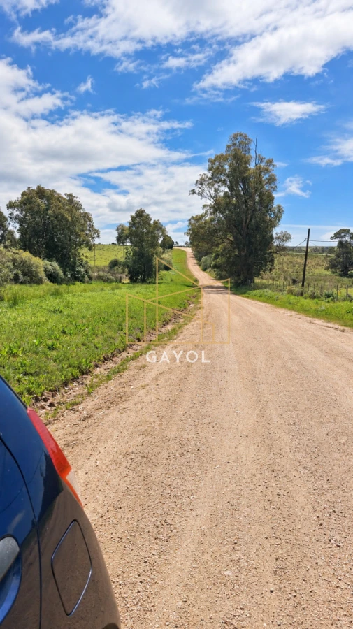 Campo Ref.1559 - Campo ganadero 30 ha en Ruta 9