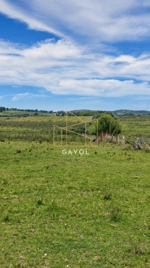 Campo Ref.1559 - Campo ganadero 30 ha en Ruta 9