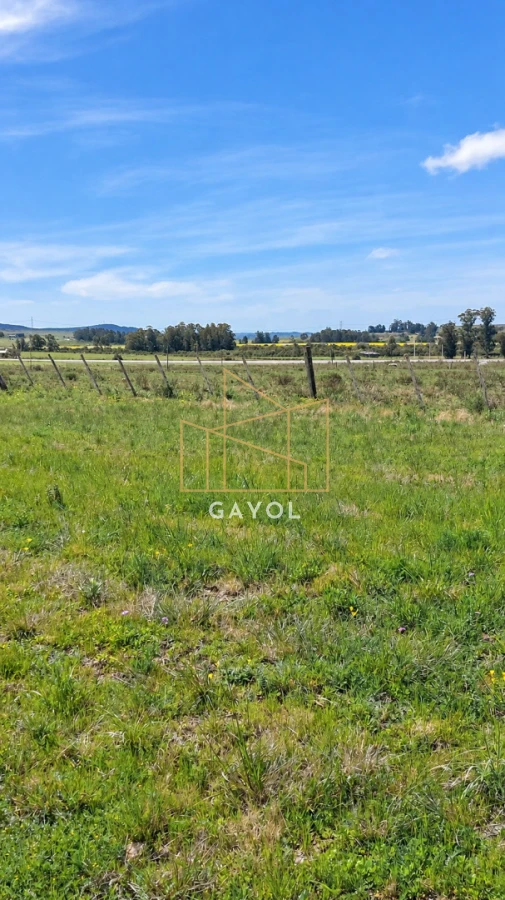 Campo Ref.1559 - Campo ganadero 30 ha en Ruta 9
