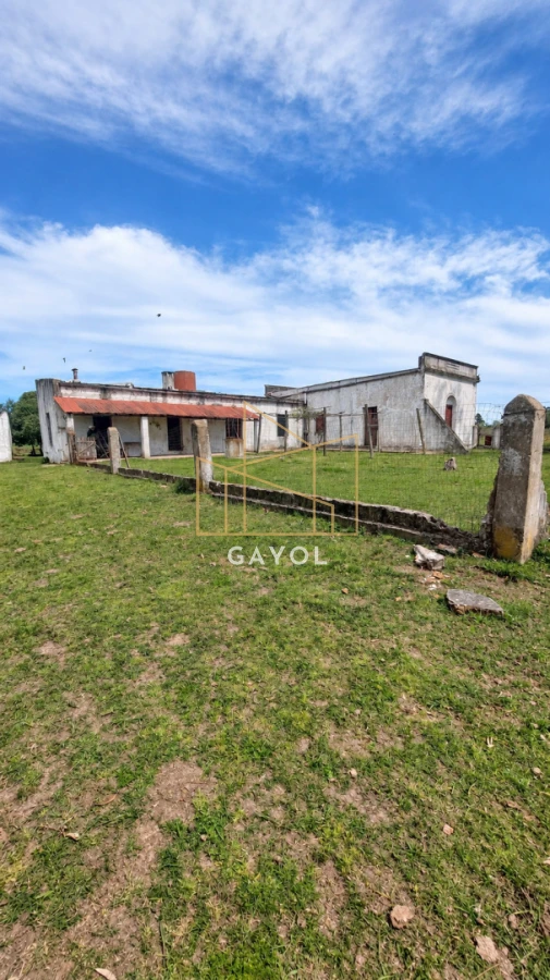 Campo Ref.1559 - Campo ganadero 30 ha en Ruta 9