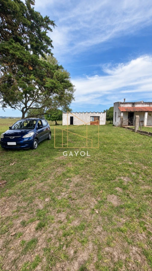 Campo Ref.1559 - Campo ganadero 30 ha en Ruta 9