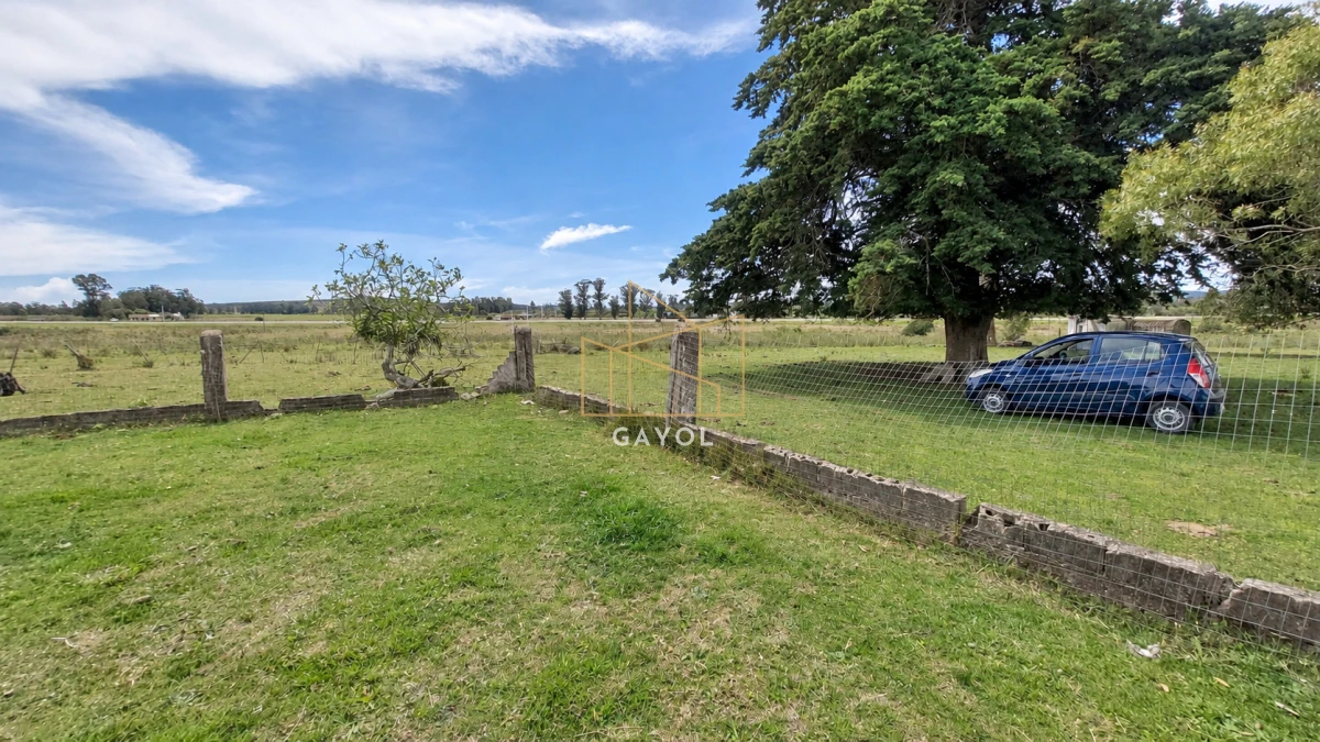 Campo Ref.1559 - Campo ganadero 30 ha en Ruta 9