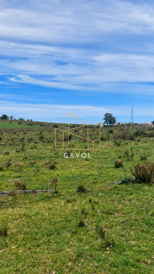 Campo Ref.1559 - Campo ganadero 30 ha en Ruta 9