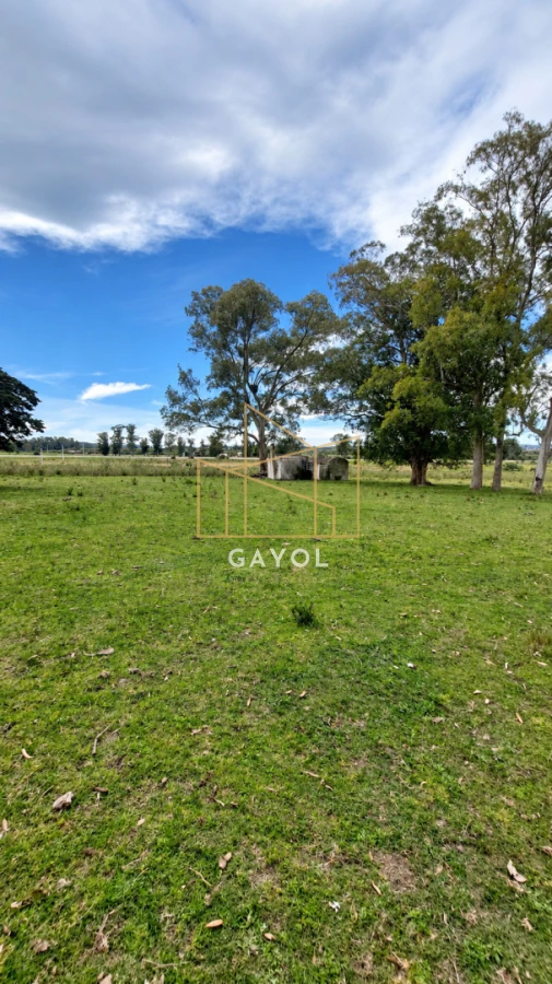 Campo Ref.1559 - Campo ganadero 30 ha en Ruta 9