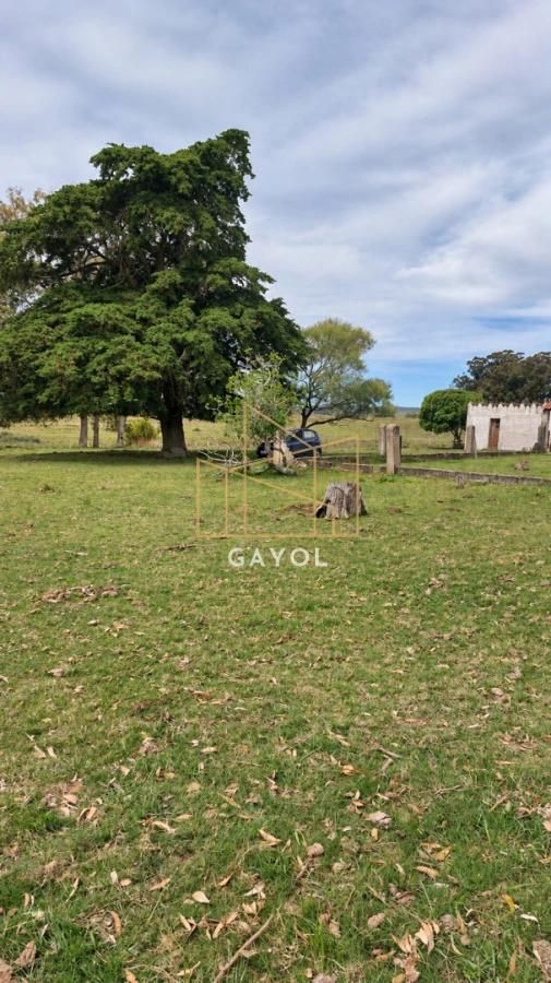 Campo Ref.1559 - Campo ganadero 30 ha en Ruta 9